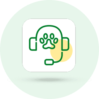 Image of a green medical symbol on a white background
